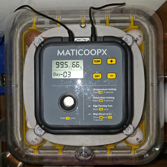 Maticoopx 30 Egg Incubator With Humidity Display And Egg Candler