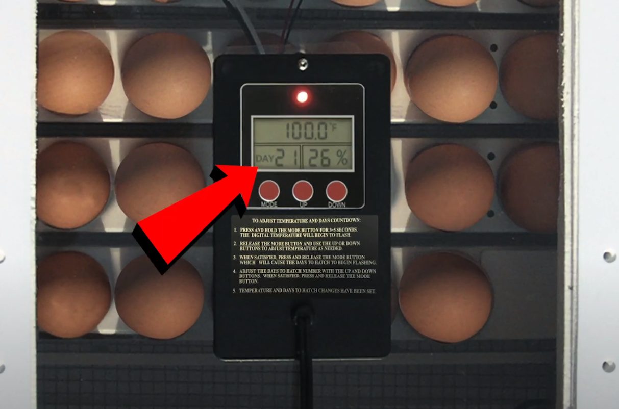 Farm Innovators 4250 Incubator With Automatic Egg Turner