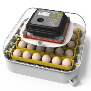 MATICOOPX 30 Egg Incubator