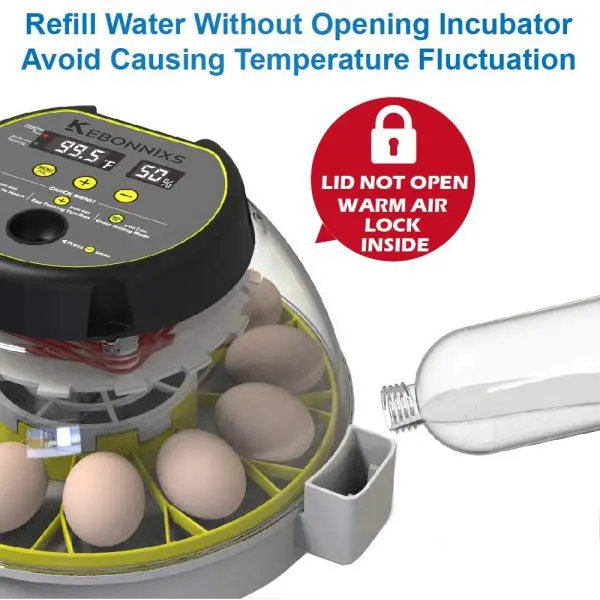 kebonnixs 12 Egg Incubator 3