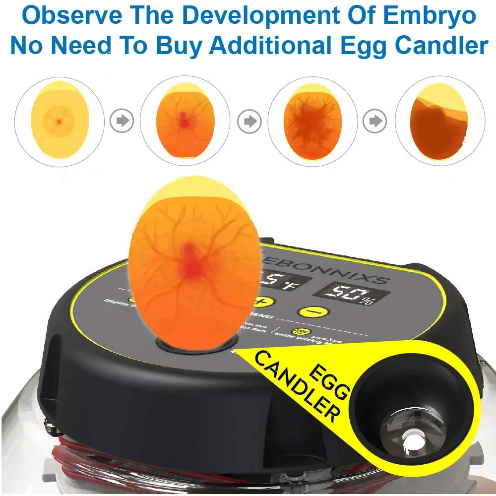 kebonnixs 12 Egg Incubator 4