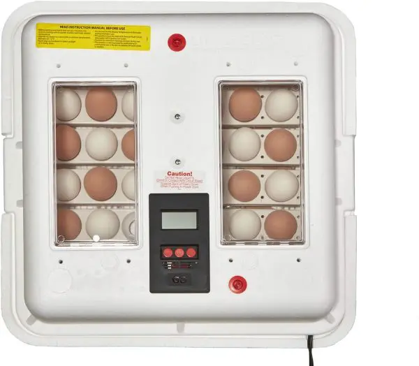 little giant 11300 incubator 4