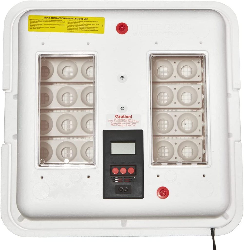 little Giant 11300 Incubator Circulated Air Incubator with Automatic