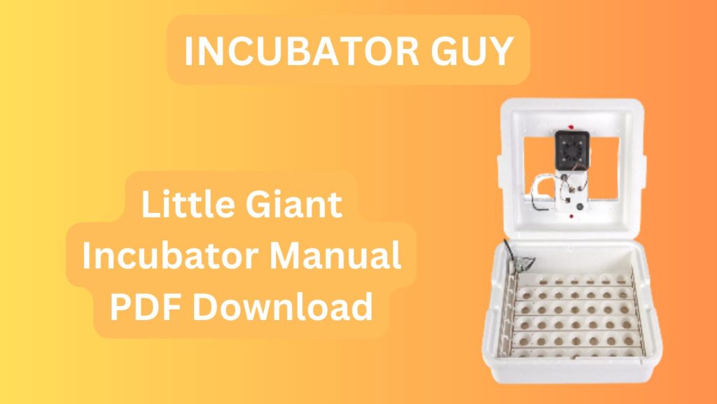 Little Giant Incubator Manual PDF Download